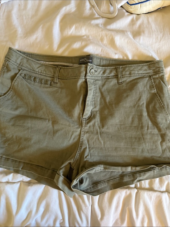 Market & Spruce Pants - Market & Spruce Olive Green Women's Roll-Hem Shorts